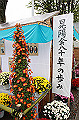 DPP_0021_thumb.jpg