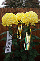 DPP_0031_thumb.jpg