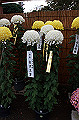 DPP_0032_thumb.jpg