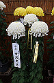 DPP_0033_thumb.jpg