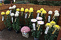 DPP_0044_thumb.jpg