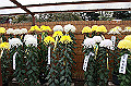 DPP_0045_thumb.jpg