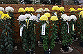 DPP_0046_thumb.jpg