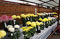 DPP_0073_thumb.jpg