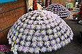 DPP_0087_thumb.jpg