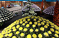 DPP_0091_thumb.jpg