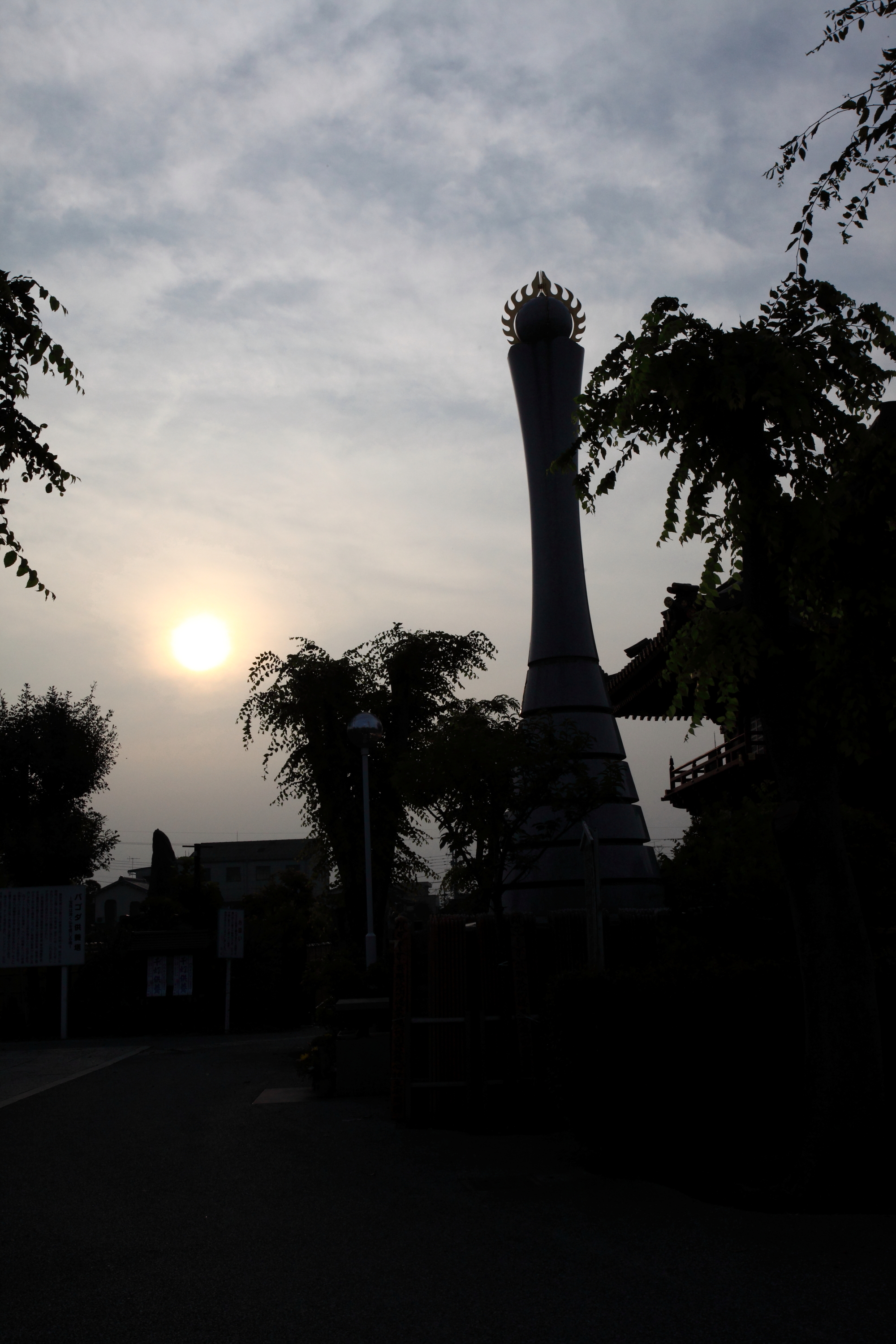 DPP_0003.JPG