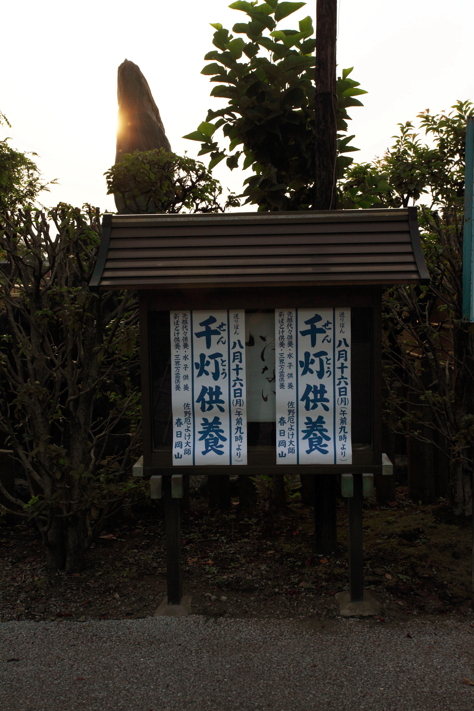 DPP_0004.JPG