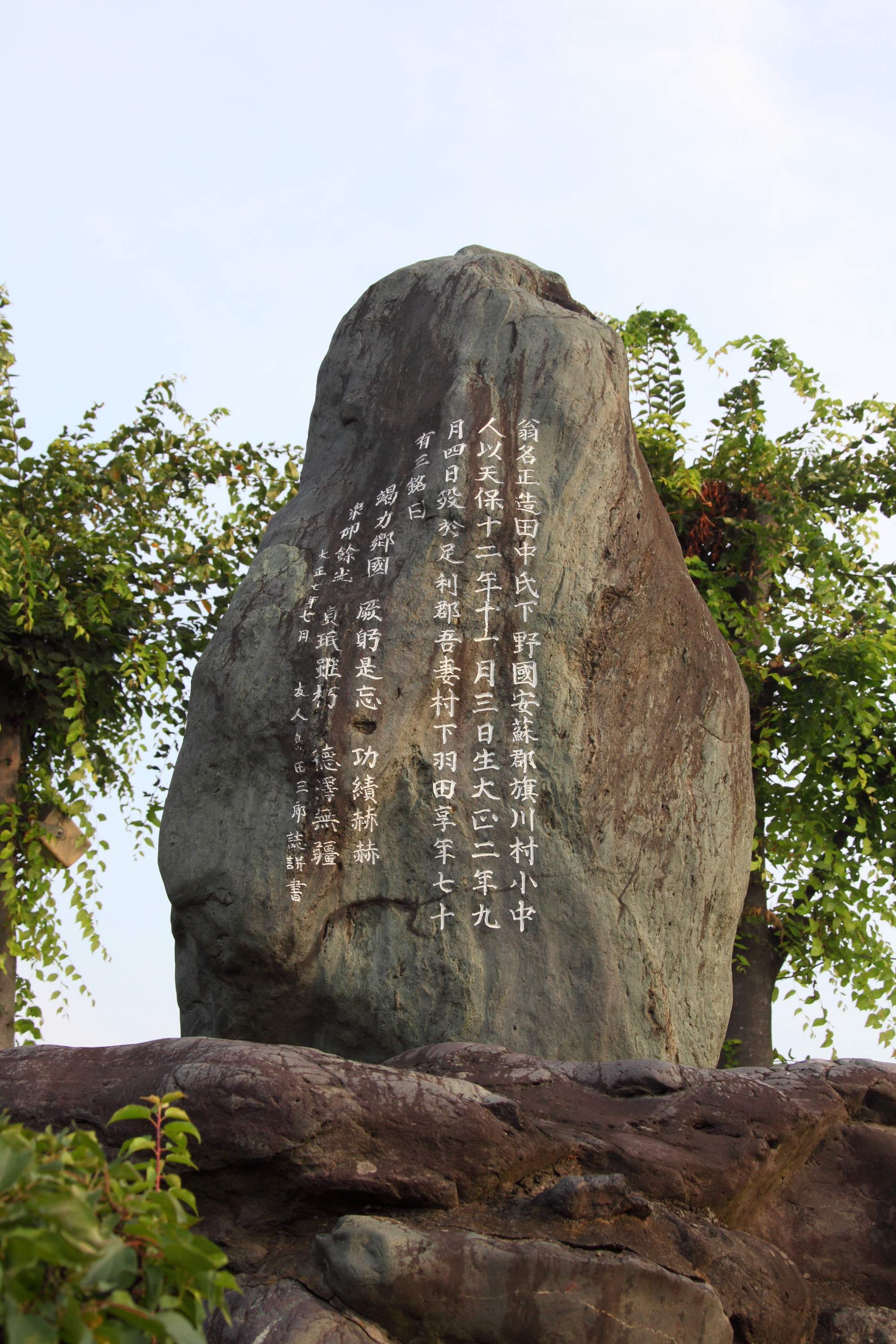 DPP_0008.JPG