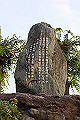DPP_0008_thumb.png