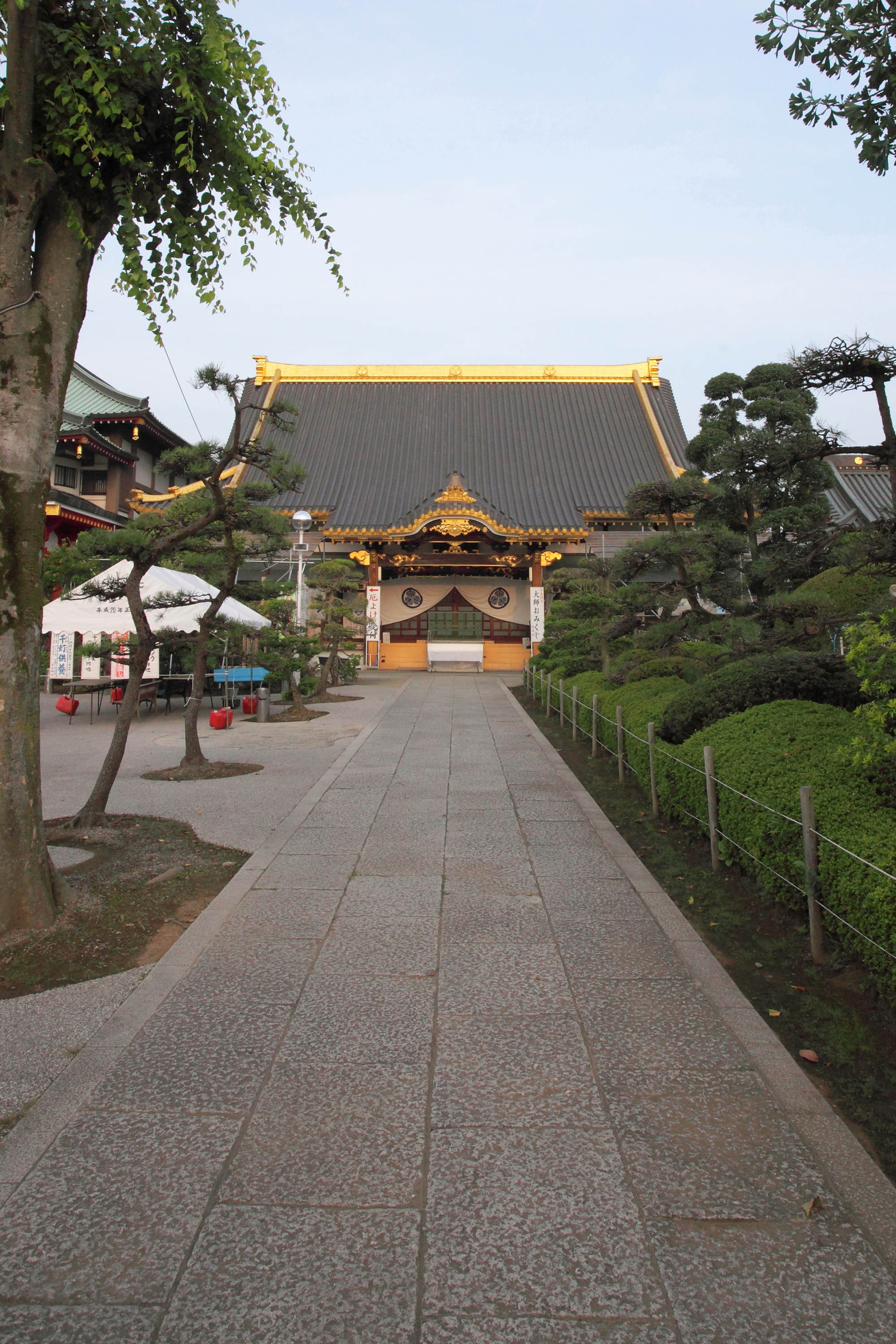 DPP_0012.JPG