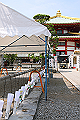 DPP_0025_thumb.png
