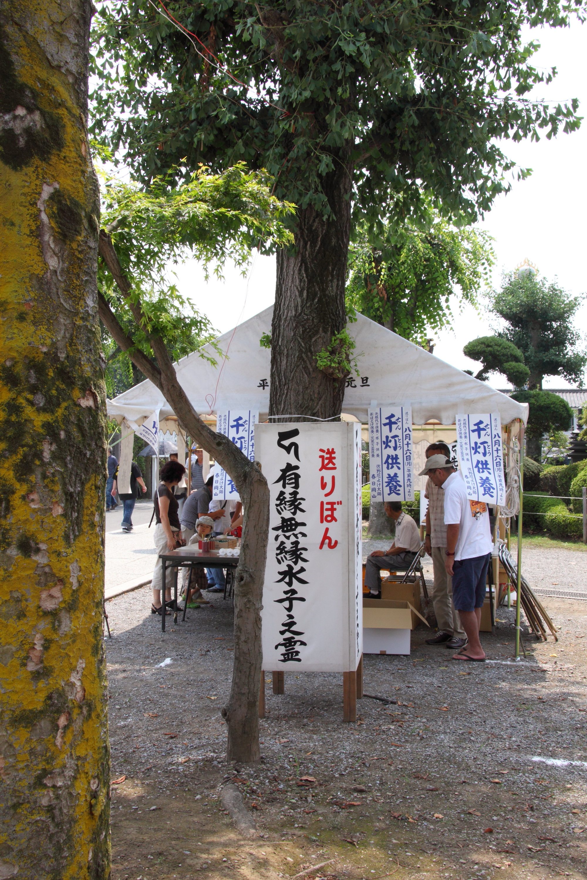DPP_0040.JPG