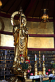 DPP_0063_thumb.png