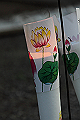 DPP_0071_thumb.png