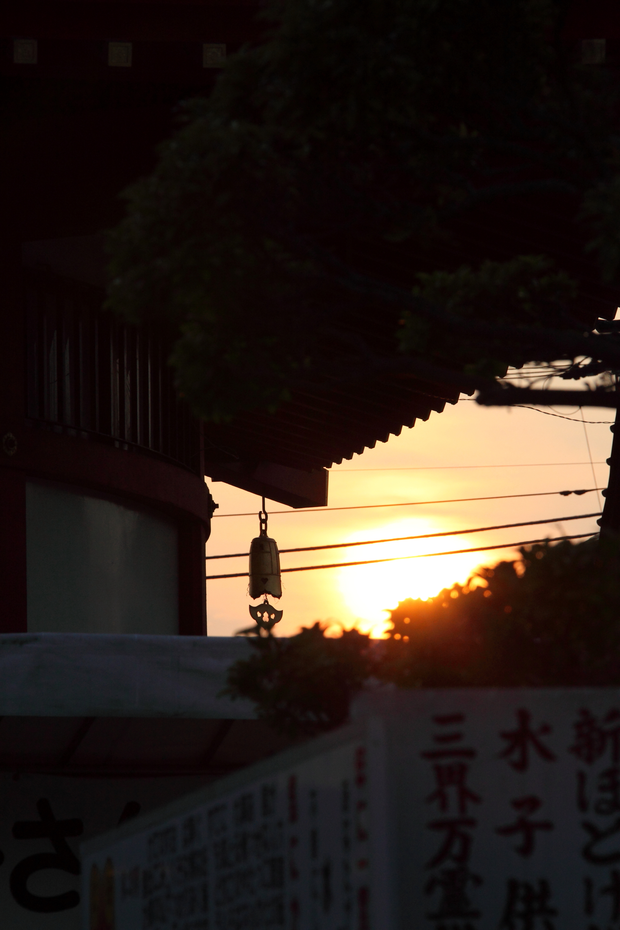 DPP_0076.JPG