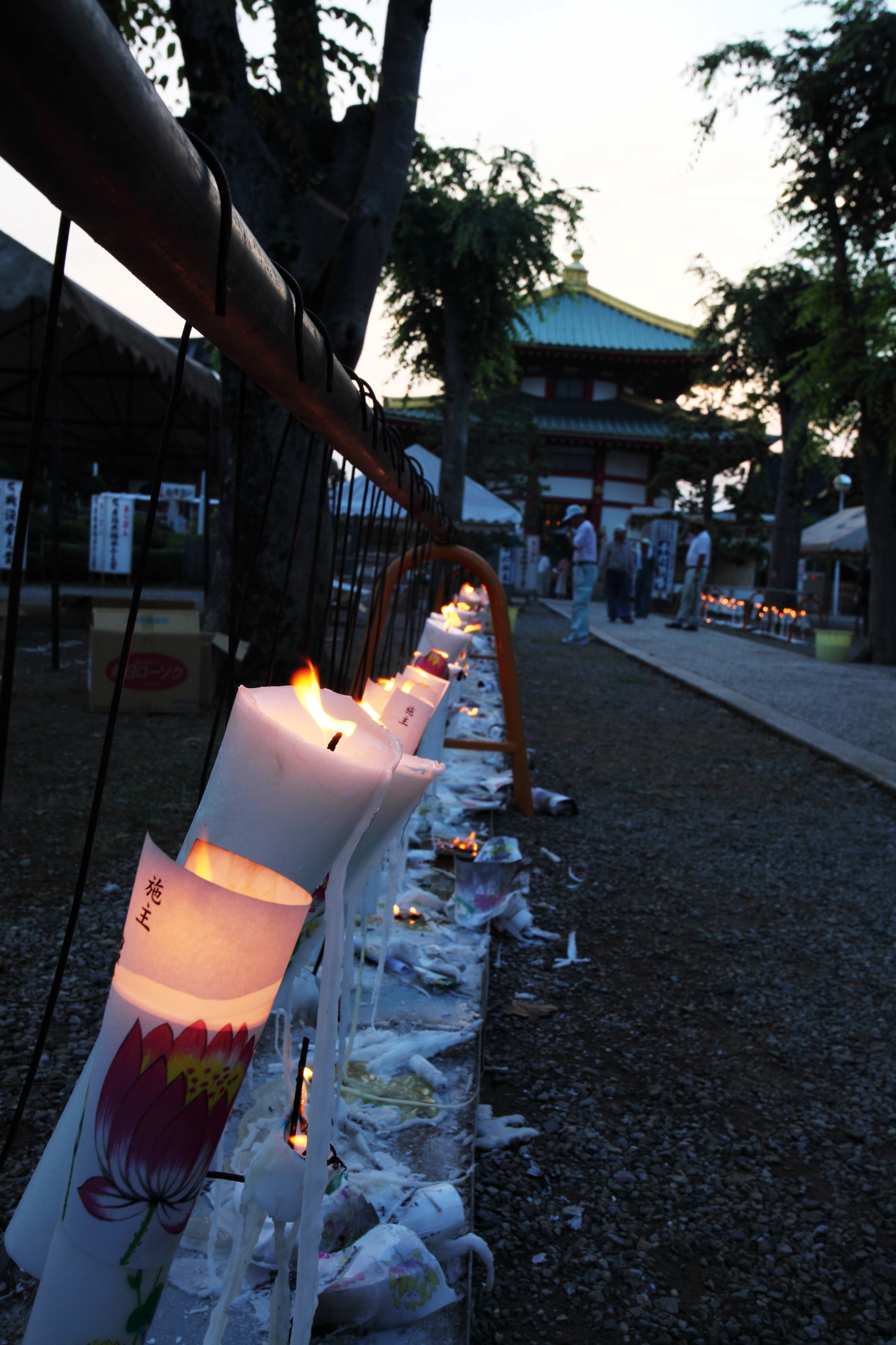 DPP_0080.JPG
