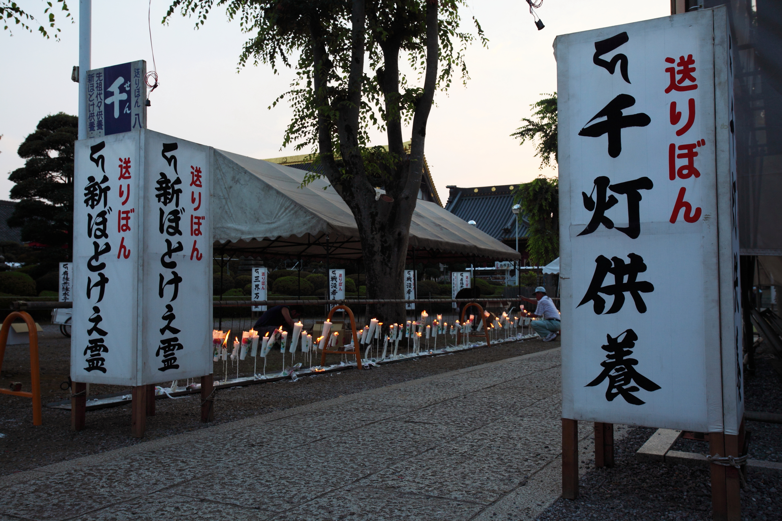 DPP_0083.JPG