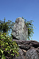 DPP_2LP0003_thumb.jpg
